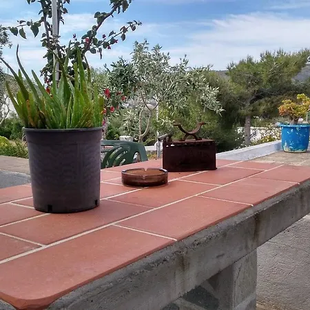 Aloe House 帕特莫斯